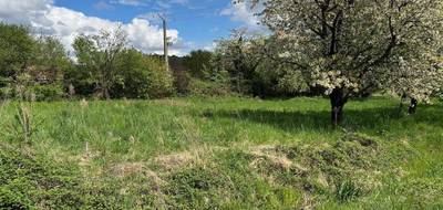 Terrain seul à Orschwihr en Haut-Rhin (68) de 0 m² à vendre au prix de 64300€ - 4