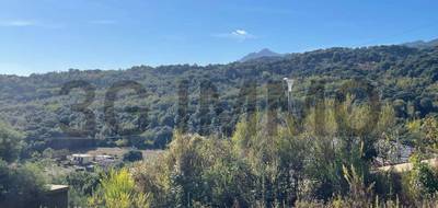 Terrain seul à Penta-di-Casinca en Haute-Corse (2B) de 0 m² à vendre au prix de 120000€ - 2