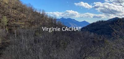 Terrain seul à Belvédère en Alpes-Maritimes (06) de 2080 m² à vendre au prix de 27000€ - 1