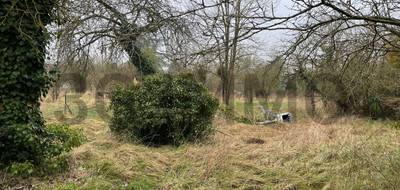 Terrain seul à Villenauxe-la-Grande en Aube (10) de 0 m² à vendre au prix de 12000€ - 1