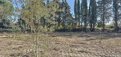 Terrain seul à Loriol-du-Comtat en Vaucluse (84) de 504 m² à vendre au prix de 140000€ - 2