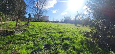 Terrain seul à Montanay en Rhône (69) de 0 m² à vendre au prix de 270000€ - 4