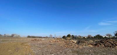 Terrain seul à Aigues-Mortes en Gard (30) de 0 m² à vendre au prix de 42500€ - 3