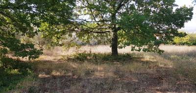 Terrain seul à Gignac en Hérault (34) de 2010 m² à vendre au prix de 279900€ - 3
