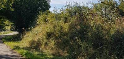 Terrain seul à Masseret en Corrèze (19) de 2326 m² à vendre au prix de 17800€ - 3