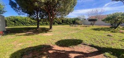 Terrain seul à Marseillan en Hérault (34) de 1020 m² à vendre au prix de 520000€ - 2