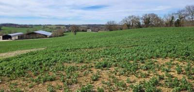 Terrain seul à Puycasquier en Gers (32) de 1102 m² à vendre au prix de 30000€ - 2