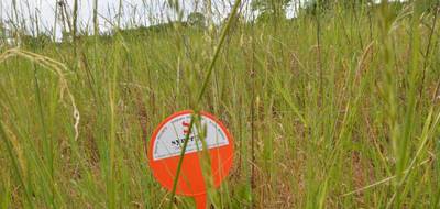 Terrain seul à Le Mung en Charente-Maritime (17) de 836 m² à vendre au prix de 34995€ - 4