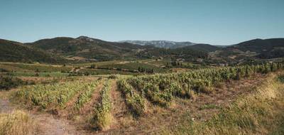 Terrain seul à Cascastel-des-Corbières en Aude (11) de 148075 m² à vendre au prix de 149000€ - 1