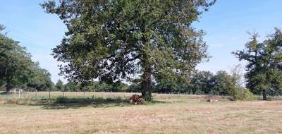 Terrain seul à Gouzon en Creuse (23) de 26736 m² à vendre au prix de 77000€ - 4