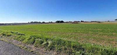 Terrain seul à Marseillan en Hérault (34) de 11900 m² à vendre au prix de 25000€ - 2
