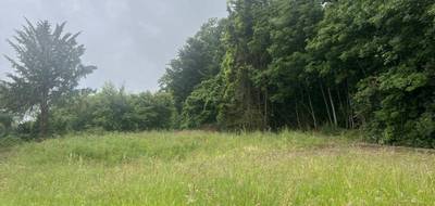 Terrain seul à Puttelange-aux-Lacs en Moselle (57) de 1547 m² à vendre au prix de 85000€ - 2