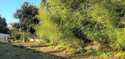 Terrain seul à La Rochelle en Charente-Maritime (17) de 477 m² à vendre au prix de 375000€ - 3