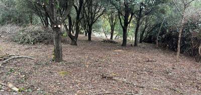 Terrain seul à Saint-Vincent-d'Olargues en Hérault (34) de 796 m² à vendre au prix de 16000€ - 2