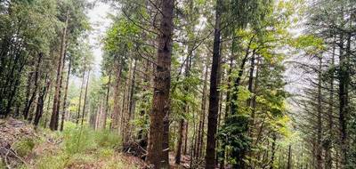 Terrain seul à Prémian en Hérault (34) de 16280 m² à vendre au prix de 34000€ - 3