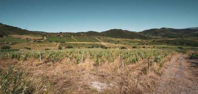 Terrain seul à Cascastel-des-Corbières en Aude (11) de 148075 m² à vendre au prix de 149000€ - 4