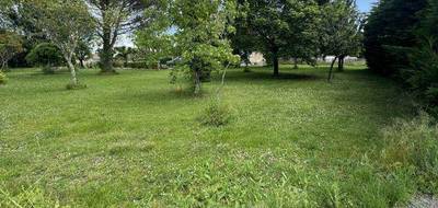 Terrain seul à Dénat en Tarn (81) de 573 m² à vendre au prix de 55000€ - 2
