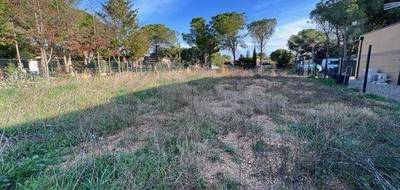 Terrain seul à Marseillan en Hérault (34) de 1138 m² à vendre au prix de 399000€ - 1