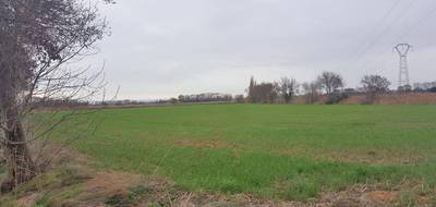 Terrain seul à Narbonne en Aude (11) de 19460 m² à vendre au prix de 45000€ - 3