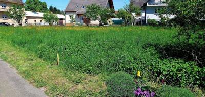 Terrain seul à Bernolsheim en Bas-Rhin (67) de 300 m² à vendre au prix de 99000€ - 3