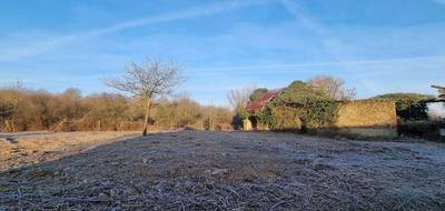 Terrain seul à Azé en Loir-et-Cher (41) de 7950 m² à vendre au prix de 49800€ - 1