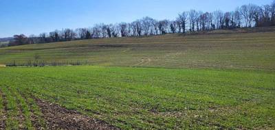 Terrain seul à Saint-Sauvy en Gers (32) de 1000 m² à vendre au prix de 33000€ - 1