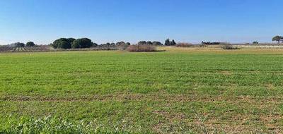 Terrain seul à Marseillan en Hérault (34) de 11900 m² à vendre au prix de 25000€ - 1