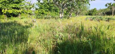 Terrain seul à Montagnac en Hérault (34) de 4980 m² à vendre au prix de 58000€ - 1