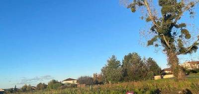 Terrain seul à Feillens en Ain (01) de 701 m² à vendre au prix de 81810€ - 4