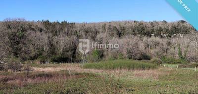 Terrain seul à Les Eyzies en Dordogne (24) de 0 m² à vendre au prix de 56600€ - 2