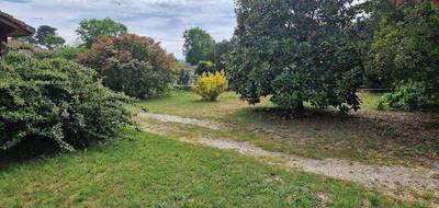 Terrain seul à Andernos-les-Bains en Gironde (33) de 0 m² à vendre au prix de 320000€ - 1