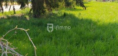 Terrain seul à Porte du Ried en Haut-Rhin (68) de 0 m² à vendre au prix de 280000€ - 1