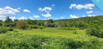 Terrain seul à Les Eyzies en Dordogne (24) de 0 m² à vendre au prix de 56600€ - 2