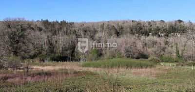 Terrain seul à Les Eyzies en Dordogne (24) de 0 m² à vendre au prix de 59900€ - 1
