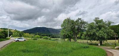 Terrain seul à Soultz-Haut-Rhin en Haut-Rhin (68) de 1097 m² à vendre au prix de 302500€ - 1