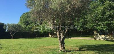 Terrain seul à Lunel-Viel en Hérault (34) de 637 m² à vendre au prix de 299900€ - 3