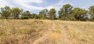 Terrain seul à Malves-en-Minervois en Aude (11) de 8952 m² à vendre au prix de 28000€ - 1