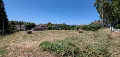 Terrain seul à Malause en Tarn-et-Garonne (82) de 2099 m² à vendre au prix de 49000€ - 2