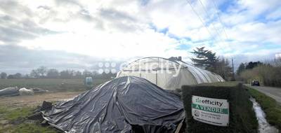 Terrain seul à Le Cellier en Loire-Atlantique (44) de 50000 m² à vendre au prix de 385000€ - 3