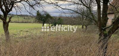Terrain seul à Merkwiller-Pechelbronn en Bas-Rhin (67) de 2000 m² à vendre au prix de 155500€ - 3