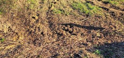 Terrain seul à Rieux en Morbihan (56) de 1100 m² à vendre au prix de 49000€ - 2