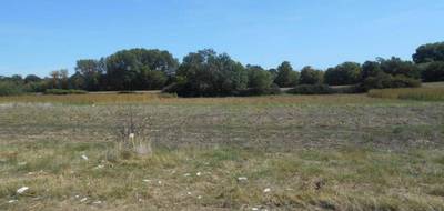Terrain seul à Marcilly-sur-Vienne en Indre-et-Loire (37) de 1906 m² à vendre au prix de 18000€ - 3