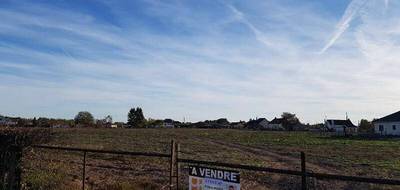 Terrain seul à Chassenard en Allier (03) de 1051 m² à vendre au prix de 17000€ - 1