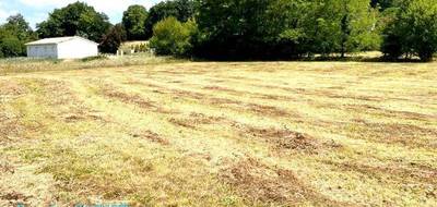 Terrain seul à Mussidan en Dordogne (24) de 2662 m² à vendre au prix de 28000€ - 4