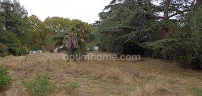 Terrain seul à Montaigut-sur-Save en Haute-Garonne (31) de 804 m² à vendre au prix de 179900€ - 4