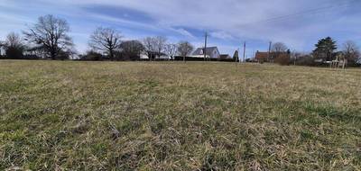 Terrain seul à Valloire-sur-Cisse en Loir-et-Cher (41) de 4008 m² à vendre au prix de 87990€ - 2