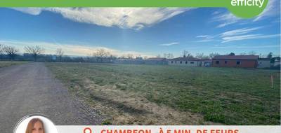 Terrain seul à Chambéon en Loire (42) de 788 m² à vendre au prix de 70920€ - 4