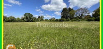 Terrain seul à Châteauneuf-sur-Cher en Cher (18) de 3065 m² à vendre au prix de 32000€ - 3