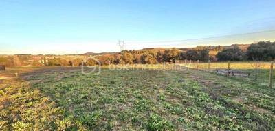 Terrain seul à Clermont-l'Hérault en Hérault (34) de 765 m² à vendre au prix de 206000€ - 2