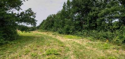 Terrain seul à Mons en Haute-Garonne (31) de 7103 m² à vendre au prix de 154000€ - 3